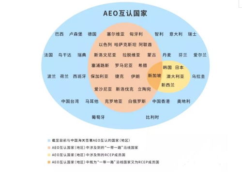 前三季度衛生陶瓷出口勢頭強勁，企業出海機遇與風險管理并重